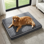Cama para Perros Ortopédica y Lavable, Colchón Rectangular de Espuma de Alta Elasticidad con Superficie Suave Acolchada y Funda Extraíble, para Perros Pequeños, Medianos y Grandes, Gris