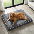 Cama para Perros Ortopédica y Lavable, Colchón Rectangular de Espuma de Alta Elasticidad con Superficie Suave Acolchada y Funda Extraíble, para Perros Pequeños, Medianos y Grandes, Gris