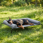 Cama Elevada para Perros con Cojines Suaves en 3 Lados, Cama Transpirable de Malla Textilene, Estructura Metálica Resistente, Fácil de Limpiar, para Perros Pequeños, Medianos y Grandes