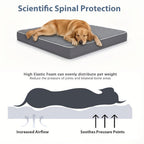 Cama para Perros Ortopédica y Lavable, Colchón Rectangular de Espuma de Alta Elasticidad con Superficie Suave Acolchada y Funda Extraíble, para Perros Pequeños, Medianos y Grandes, Gris