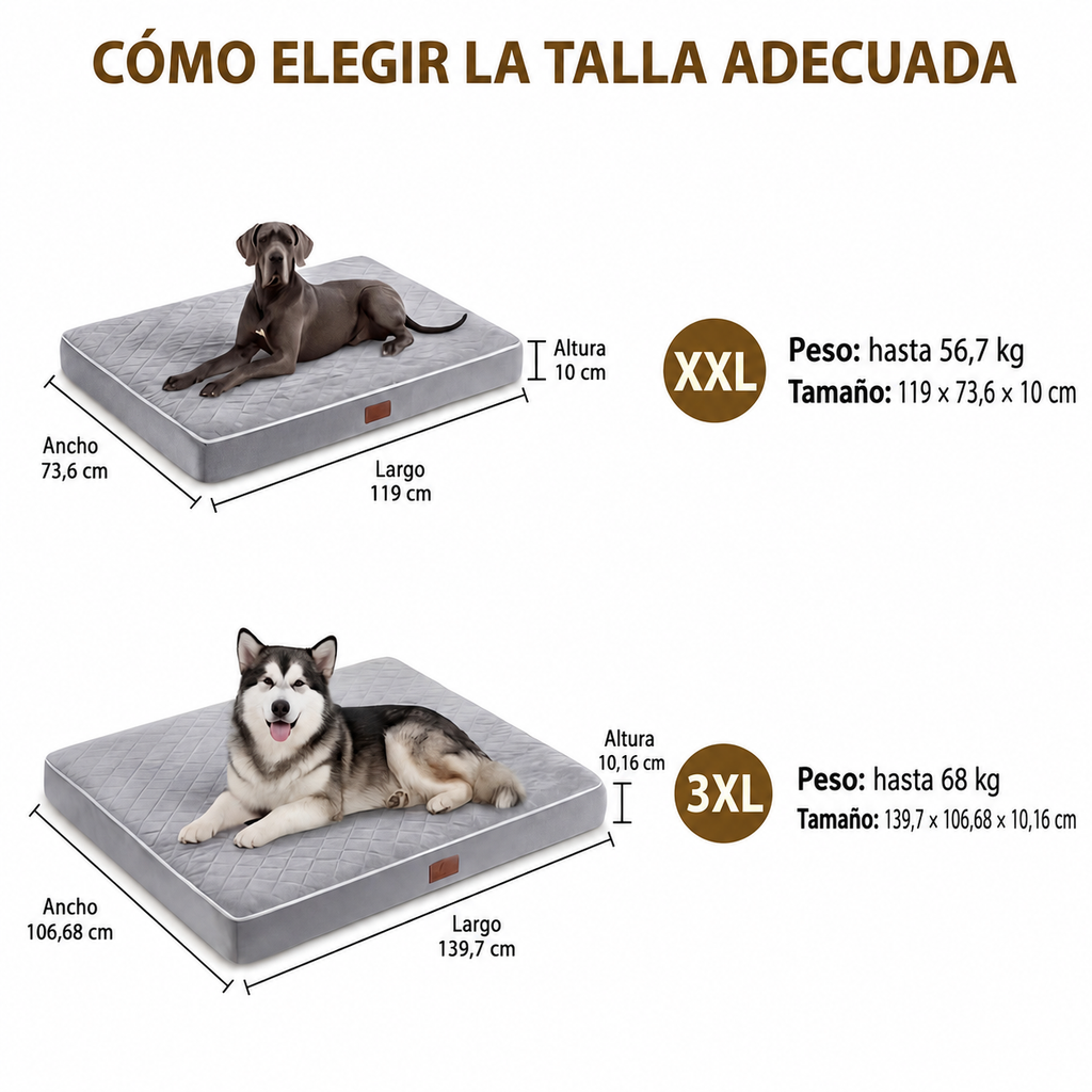 Cama para Perros Ortopédica y Lavable, Colchón Rectangular de Espuma de Alta Elasticidad con Superficie Suave Acolchada y Funda Extraíble, para Perros Pequeños, Medianos y Grandes, Gris