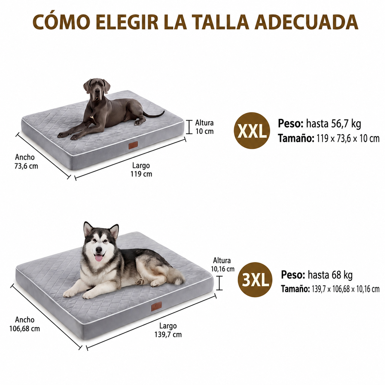 Cama para Perros Ortopédica y Lavable, Colchón Rectangular de Espuma de Alta Elasticidad con Superficie Suave Acolchada y Funda Extraíble, para Perros Pequeños, Medianos y Grandes, Gris